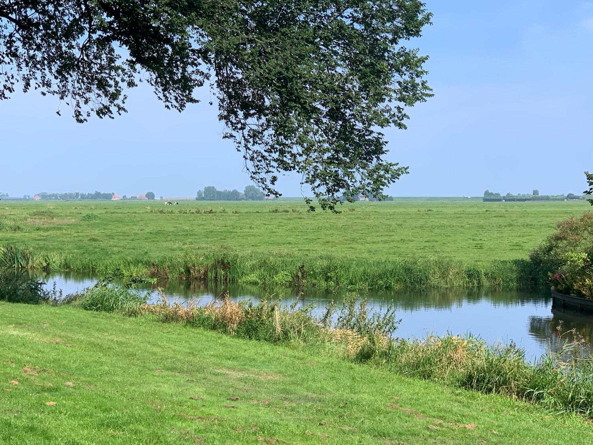 "De Walvisch", Appartement In Authentieke Boerderij إدام المظهر الخارجي الصورة